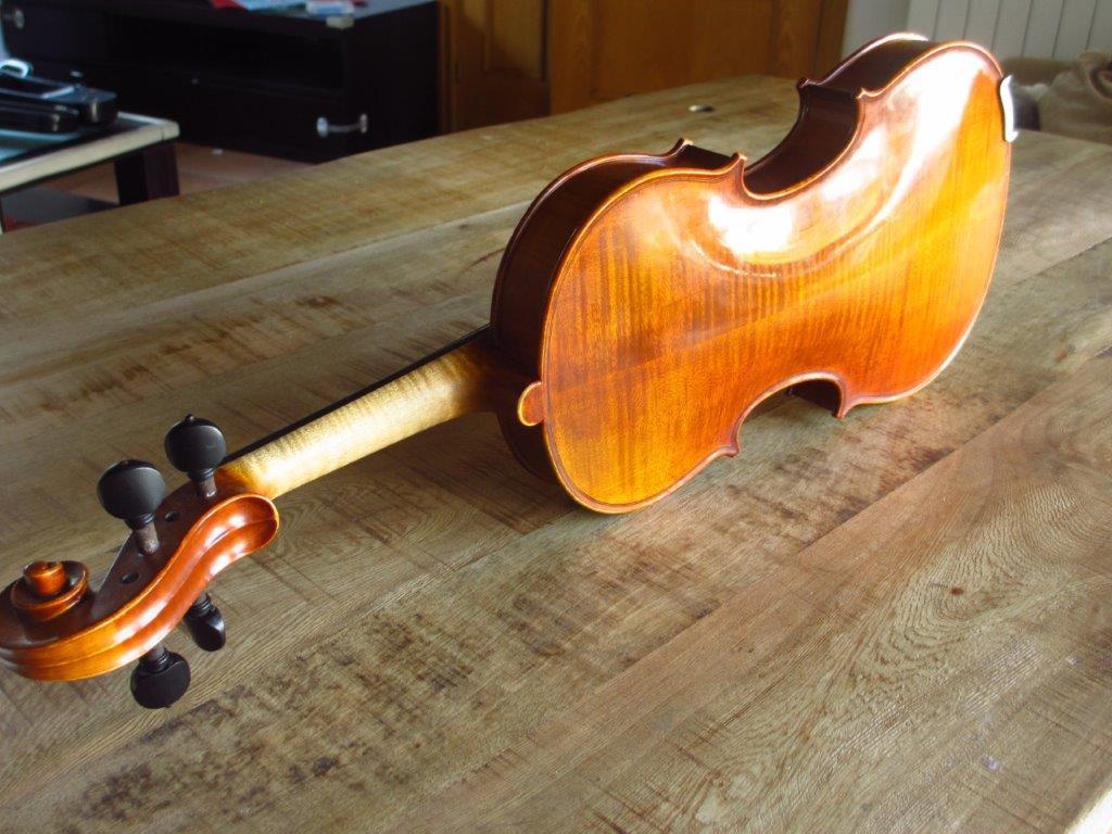 Violin 007