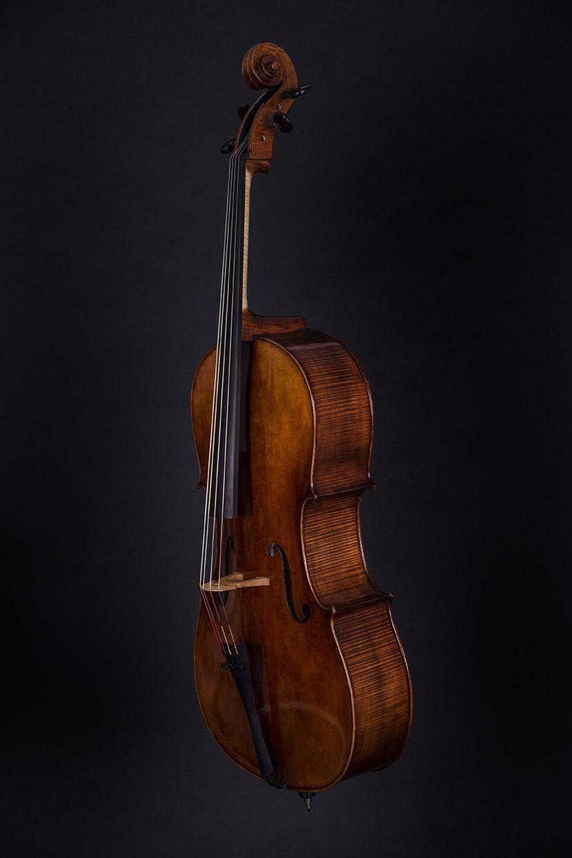 Violoncello Premiun