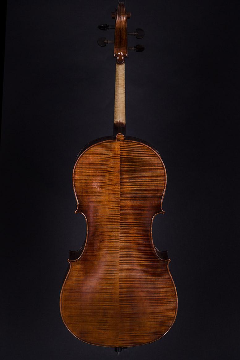 Violoncello Premiun