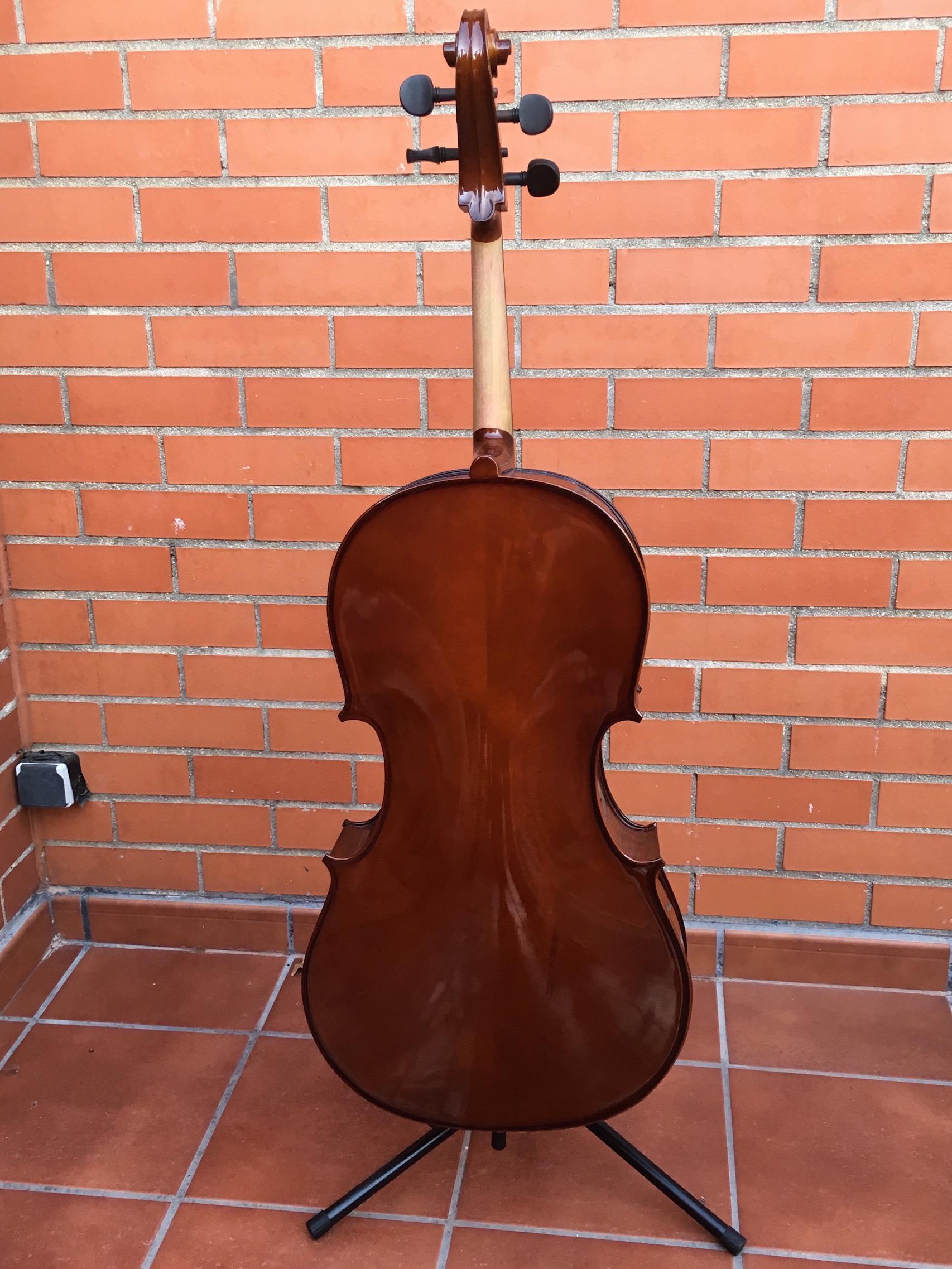 IMG 6619.cello Lucia