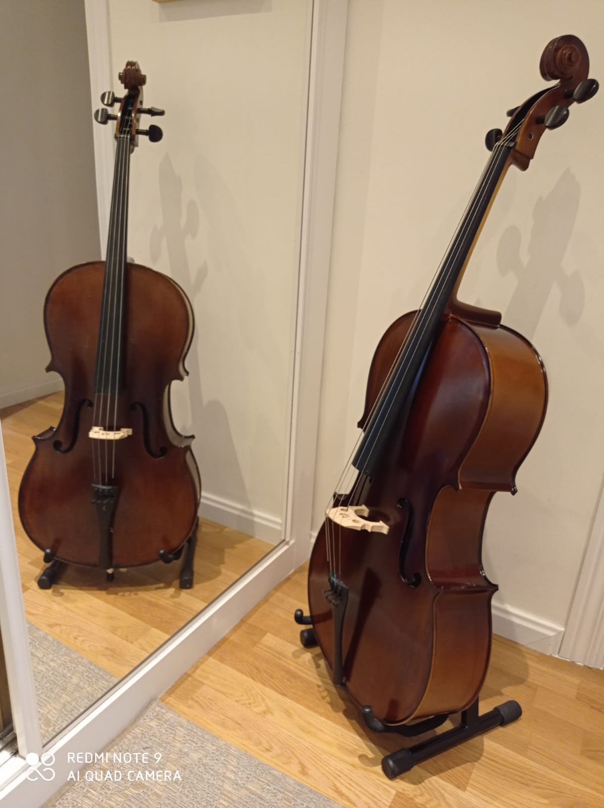 violonchelo 3/4 Stentor II