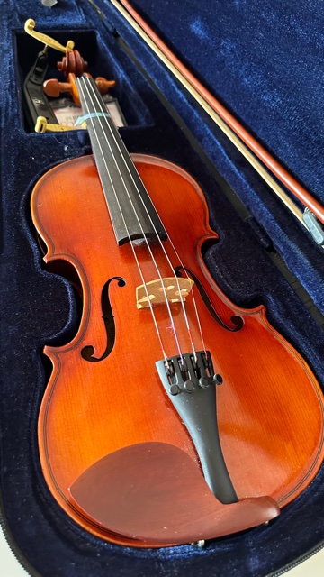 Violín Sielam Divertimento 3/4