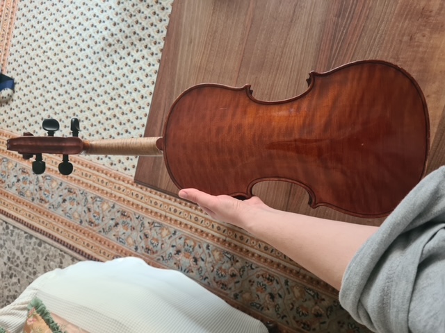 Violín (siglo XIX)